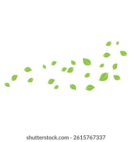 Green leaves on a white background sultable