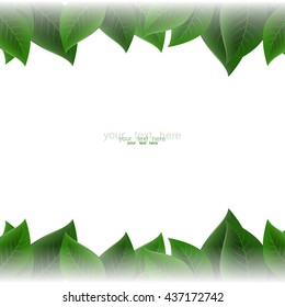 green leaves on a white background, vector