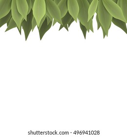 green leaves on a white background, vector