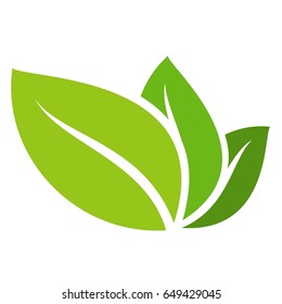 Green leaves on white background vector logo