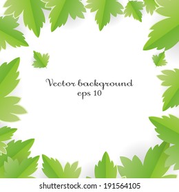 Green leaves on white; vector frame