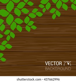 Green leaves on a wood texture. Vector season background with tree branches fence