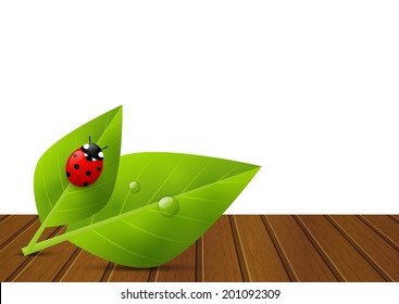 Green leaves on wooden background