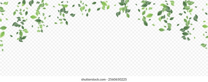 Green Leaves Organic Vector Panoramic Transparent Background Banner. Herbal Foliage Pattern. Swamp Leaf Realistic Wallpaper. Greenery Forest Border.