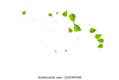 Green Leaves Organic Vector White Background Pattern. Blur Greens Backdrop. Mint Foliage Abstract Design. Leaf Realistic Poster.
