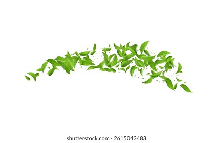 Green Leaves Organic Vector White Background Pattern. Nature Leaf Border. Mint Greens Fresh Backdrop. Foliage Fly Brochure.