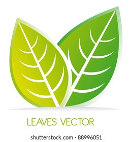 green leaves over white background. vector illustration