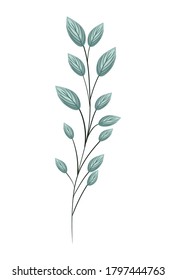 green leaves painting design of Natural floral nature and plant theme Vector illustration