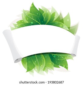  Green leaves with paper scroll on white background