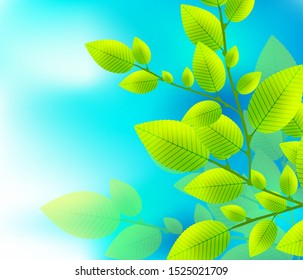 Green leaves pattern background. Ecology modern abstract template. Nature concept