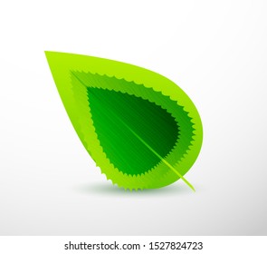 Fondo del patrón de hojas verdes. Plantilla abstracta moderna de ecología. Concepto de naturaleza