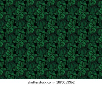 Green leaves pattern background, Natural background and wallpaper