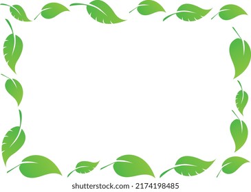 Green leaves pattern background. Natural background and wallpapers.for your text. Isolate on white background.