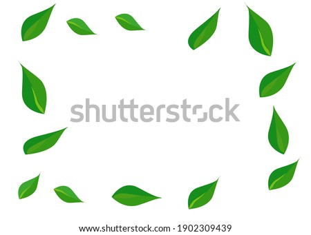 Green leaves pattern background. Natural background and wallpapers.for your text. Isolate on white background.