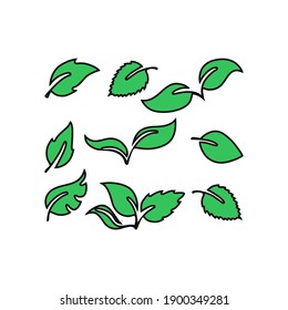Green leaves pattern background. Nature tropical green leaves seamless pattern. Vector illustration of a green tropical pattern made of green leaves on white background. Dark forest nature pattern