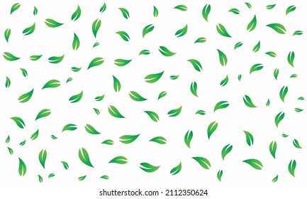 green leaves pattern, leaves isolated on white background, simple clean pattern