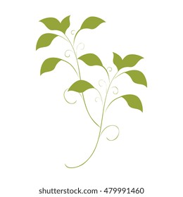 green leaves plant