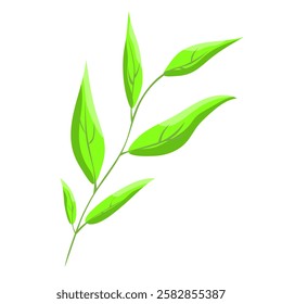 Green  leaves, plant branch, vector illustration.