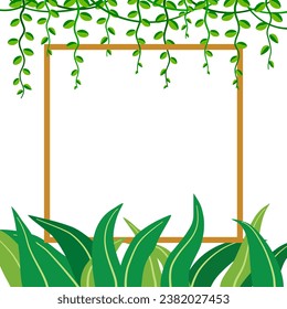 green leaves plant and vines with square frame border copy space for text, vector illustration. fronds square frame, border. Cartoon style flat design, vector. tropical plant background, seasonal elem