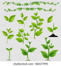 Green Leaves And Plants Set, Isolated on Transparent Background, With Gradient Mesh, Vector Illustration