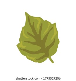 Green Leaves of Plants, Trees and Shrubs, Nature Icons for Your Design. Vector Illustration leaf. Hand drawn painting cartoon style. Design for textile and packaging natural cosmetics, products
