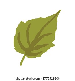 Green Leaves of Plants, Trees and Shrubs, Nature Icons for Your Design. Vector Illustration leaf. Hand drawn painting cartoon style. Design for textile and packaging natural cosmetics, products