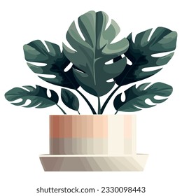 Green leaves in a pot over white