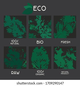 Green leaves prints. Basis textures set for design. Univesal use