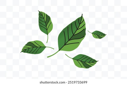 Green leaves with prominent black veins arranged in a scattered pattern on a white background. The design has a clean, organic, and natural appearance.