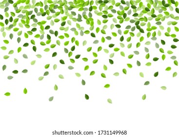 Green Leaves Realistic Vector Brochure. Swirl Greens Wallpaper. Forest Foliage Abstract Template. Leaf Spring Backdrop.