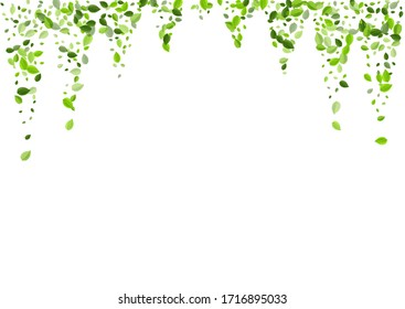 Green Leaves Realistic Vector Concept. Forest Foliage Illustration. Forest Greens Ecology Plant. Leaf Motion Border.