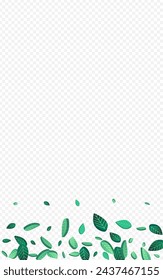 Green Leaves Realistic Vector Transparent Background Backdrop. Transparent Greens Wallpaper. Forest Foliage Forest Pattern. Leaf Wind Branch.
