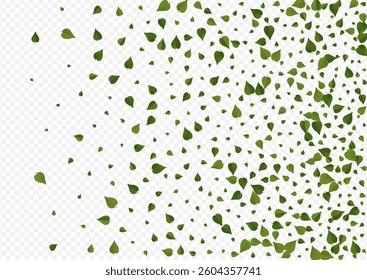 Green Leaves Realistic Vector Transparent Background Plant. Wind Foliage Pattern. Olive Greens Swirl Border. Leaf Transparent Brochure.