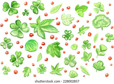 Green leaves and red berries