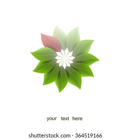 green leaves and a red, vector
