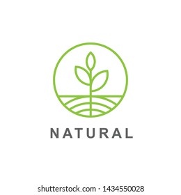 Green leaves and root sprout  logo vector illustration