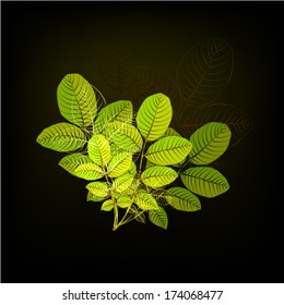 green leaves of roses a dark background. Vector