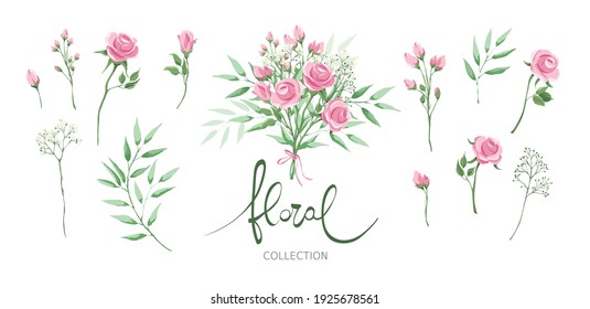 Green leaves and roses - set of design elements. Vector illustration -- pink flowers for decorating postcards. Watercolor style.	