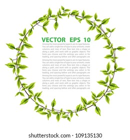 Green leaves round frame. Vector background