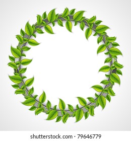 Green leaves round frame. Vector background Eps 10.