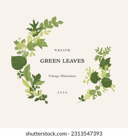 Green leaves. Round Wreath. Vector vintage illustration. 