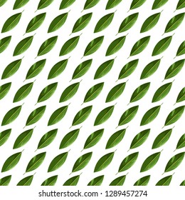Green leaves seamless patter