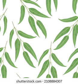 Green leaves seamless pattern. Botanical background with eucalyptus branches. Vector cartoon flat illustration of plant twigs.