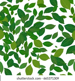 Green leaves, seamless texture, vector