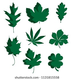 Green leaves set. 