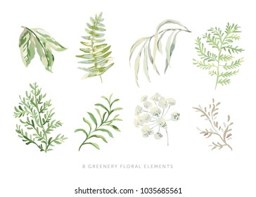 Green leaves set. Greenery elements.  Vector illustration. Floral arrangement. Forest foliage. Fern. White background. Nature plant.