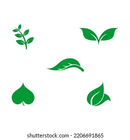 Green leaves set illustration vector design