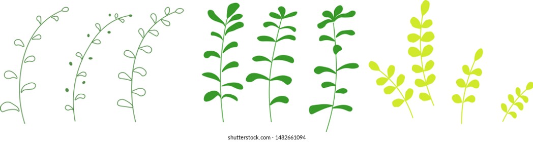 Green leaves set isolated on white background. Vector illustration.