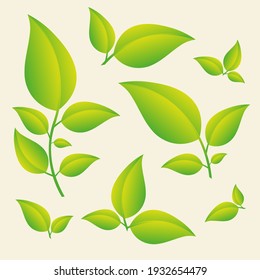 Green leaves set isolated on yellow background. Design elements for organic bio logo, natural and eco products, cosmetic, pharmacy, medicine, science. Vector leaves icon collection EPS10