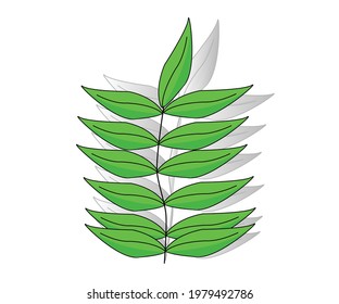 Green leaves set isolated on white background. Vector illustration.
